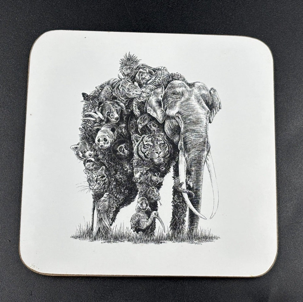 Maxwell & Williams Marini Ferlazzo Animal Earth Coasters Set 6 Boxed