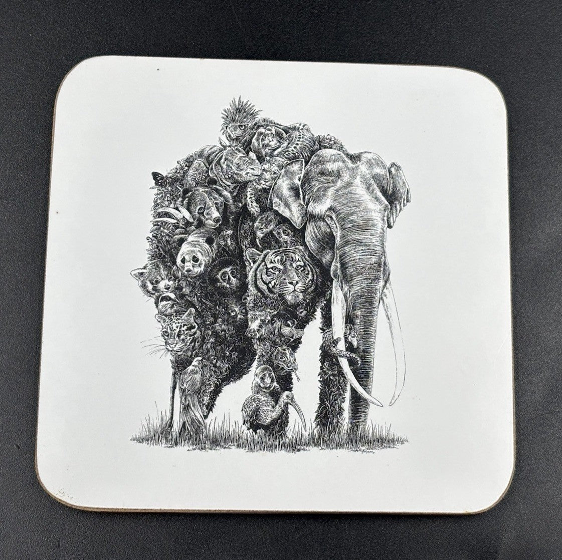 Maxwell & Williams Marini Ferlazzo Animal Earth Coasters Set 6 Boxed