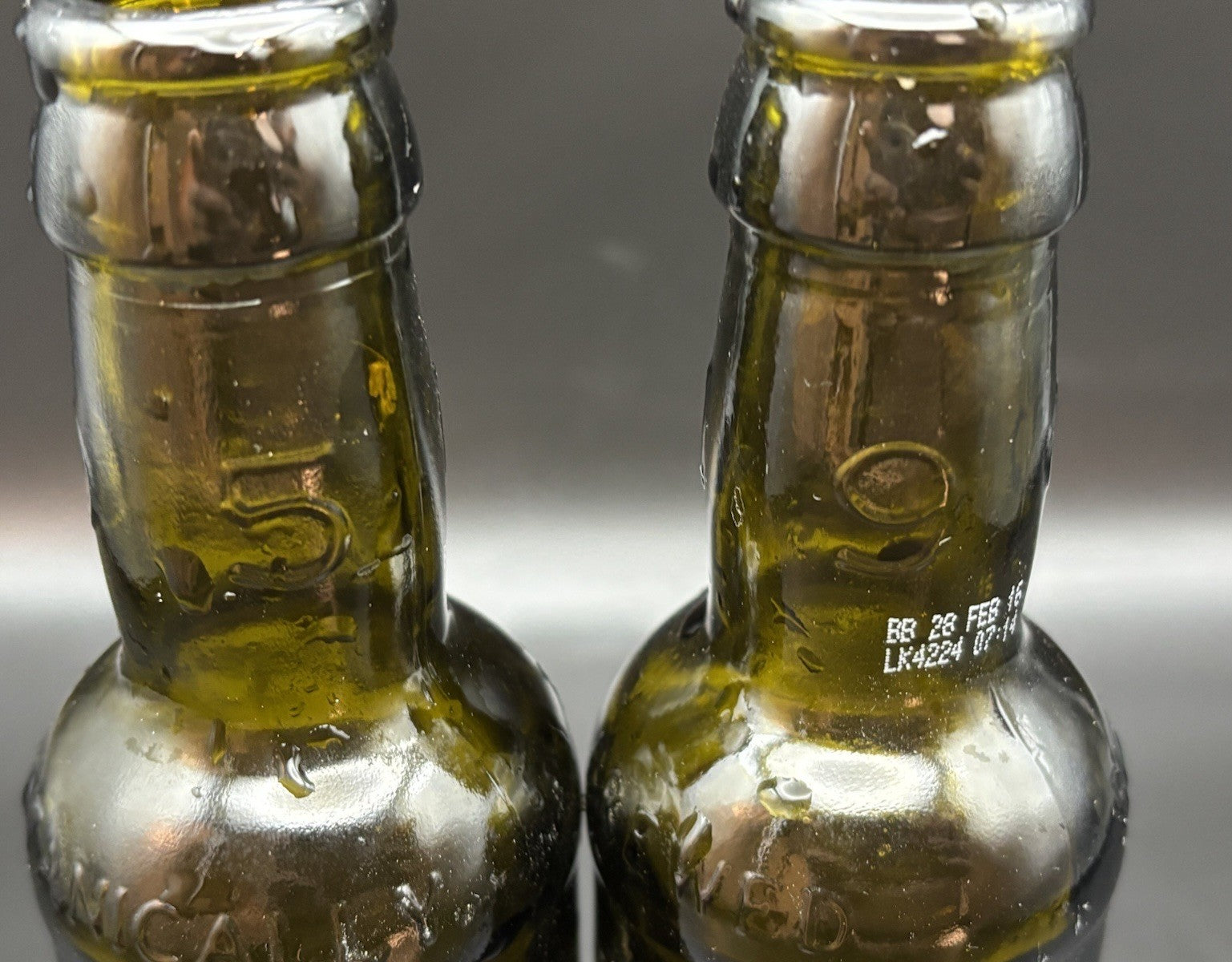 Rustic Olive Green Embossed Brewery Beer Bottles Pair Bar Decor Display ￼
