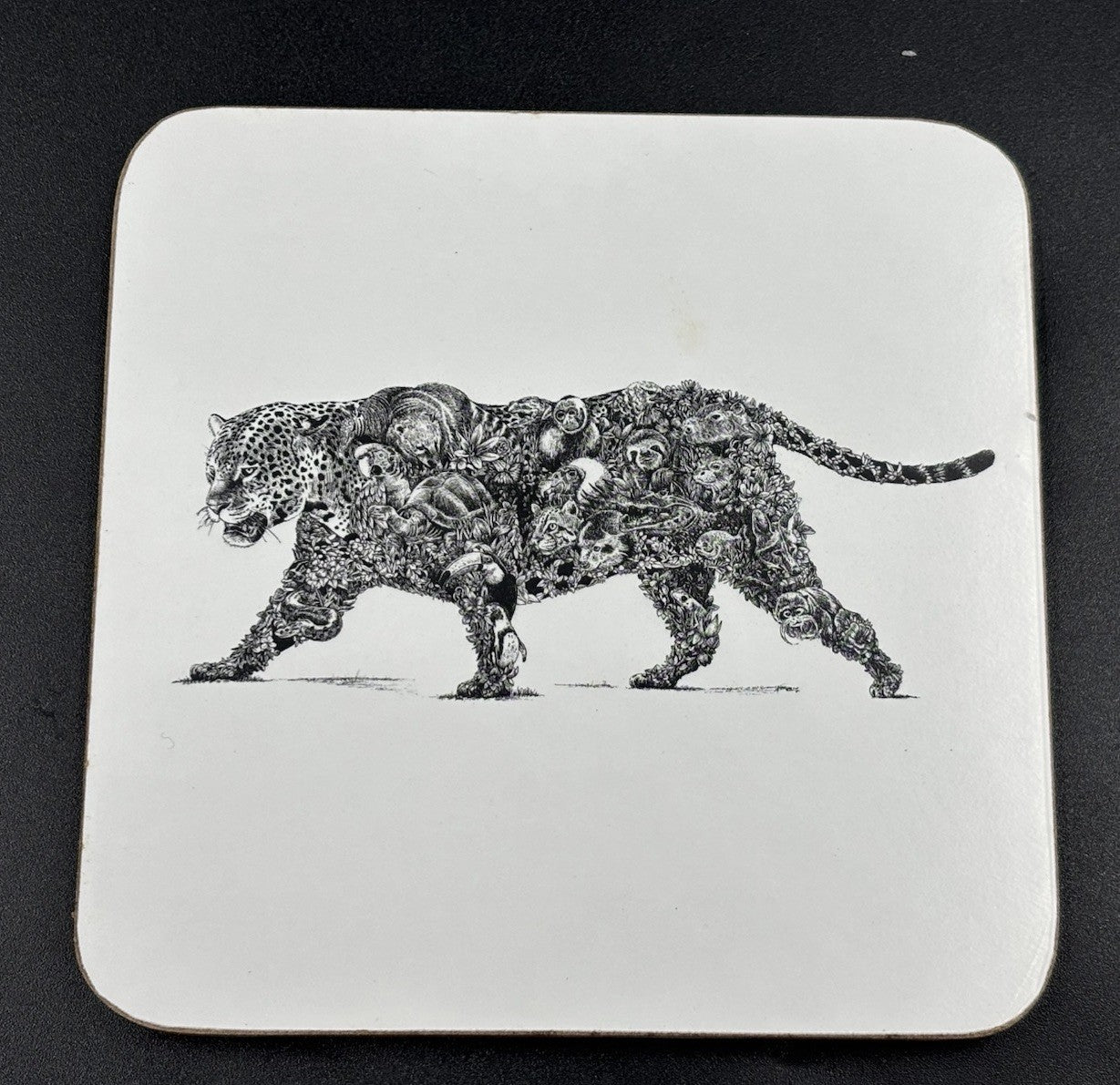 Maxwell & Williams Marini Ferlazzo Animal Earth Coasters Set 6 Boxed