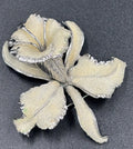Vtg Arcasas Elizabeth Reimer Coralene  Frosted glass 3D Orchid Brooch Silver T