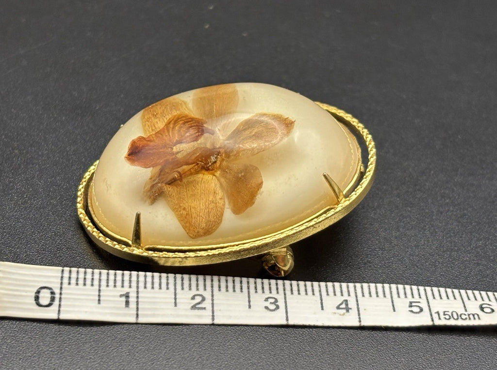 Vintage Pressed Orchid Flower Lucite Resin Brooch Botanical 4.5cm