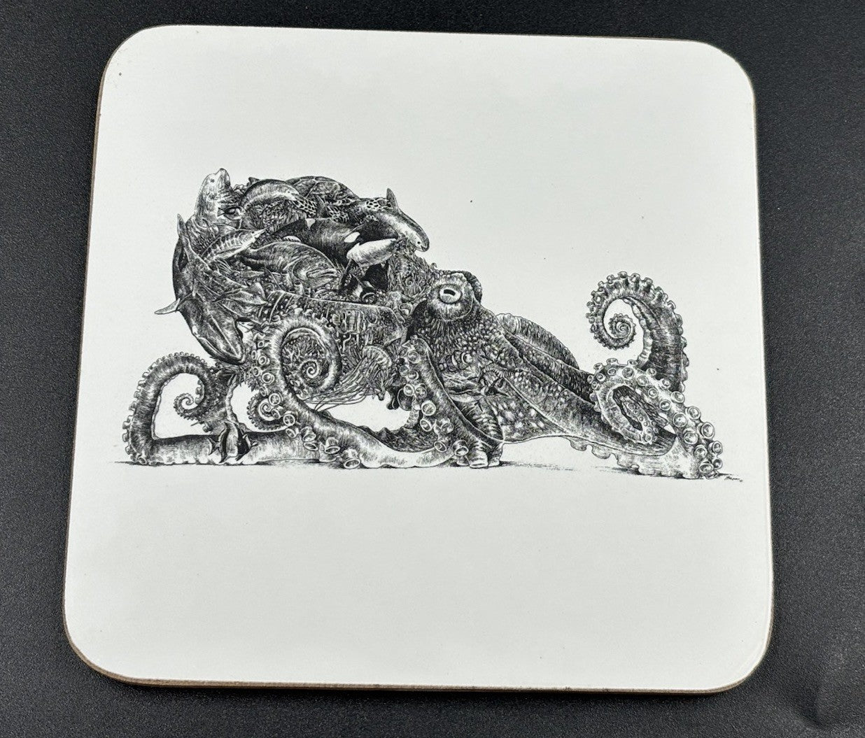 Maxwell & Williams Marini Ferlazzo Animal Earth Coasters Set 6 Boxed