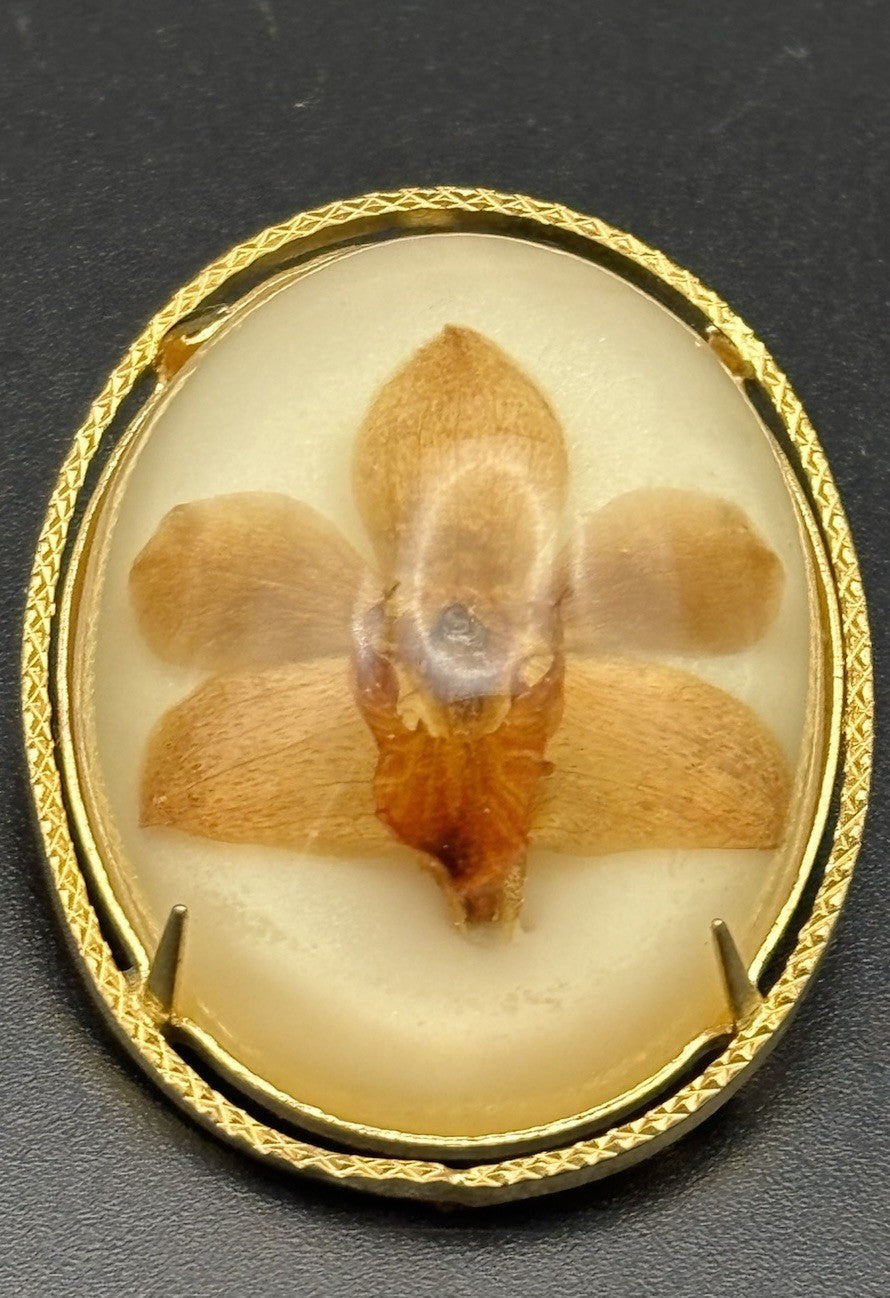 Vintage Pressed Orchid Flower Lucite Resin Brooch Botanical 4.5cm