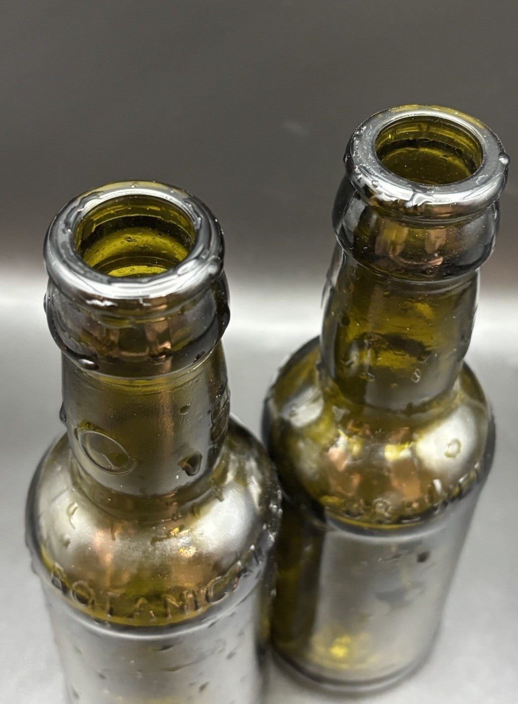 Rustic Olive Green Embossed Brewery Beer Bottles Pair Bar Decor Display ￼