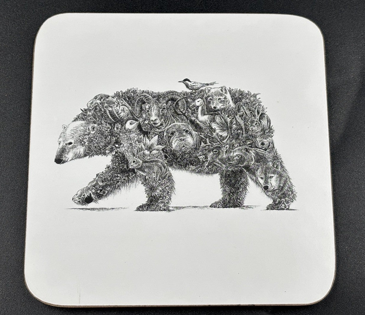 Maxwell & Williams Marini Ferlazzo Animal Earth Coasters Set 6 Boxed